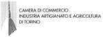 Logo Camera di Commercio di Torino