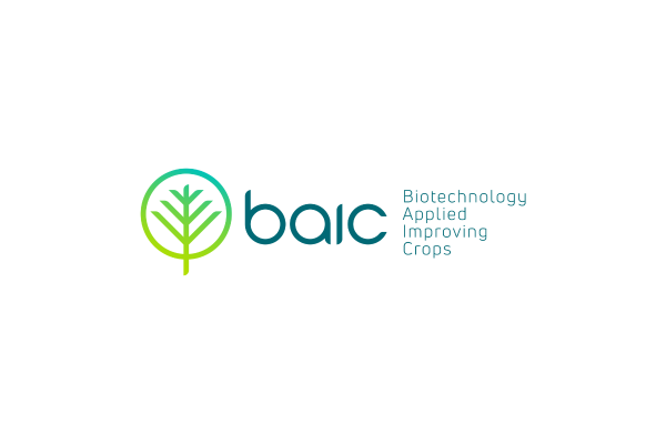 BAIC