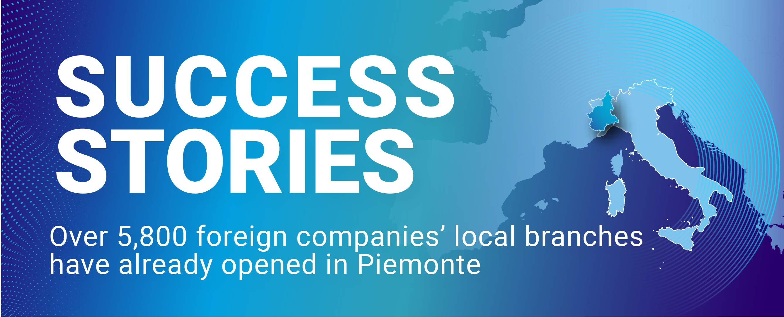 Piemonte Investment Success Cases